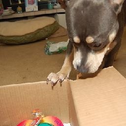 韩国女团歌曲舞蹈可爱性感大长腿美女