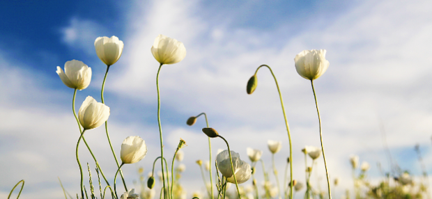 考研调剂时我们可以报几个学校