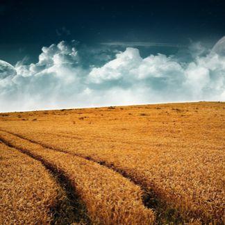 淘客店铺农村淘宝流量为何减少了呢?