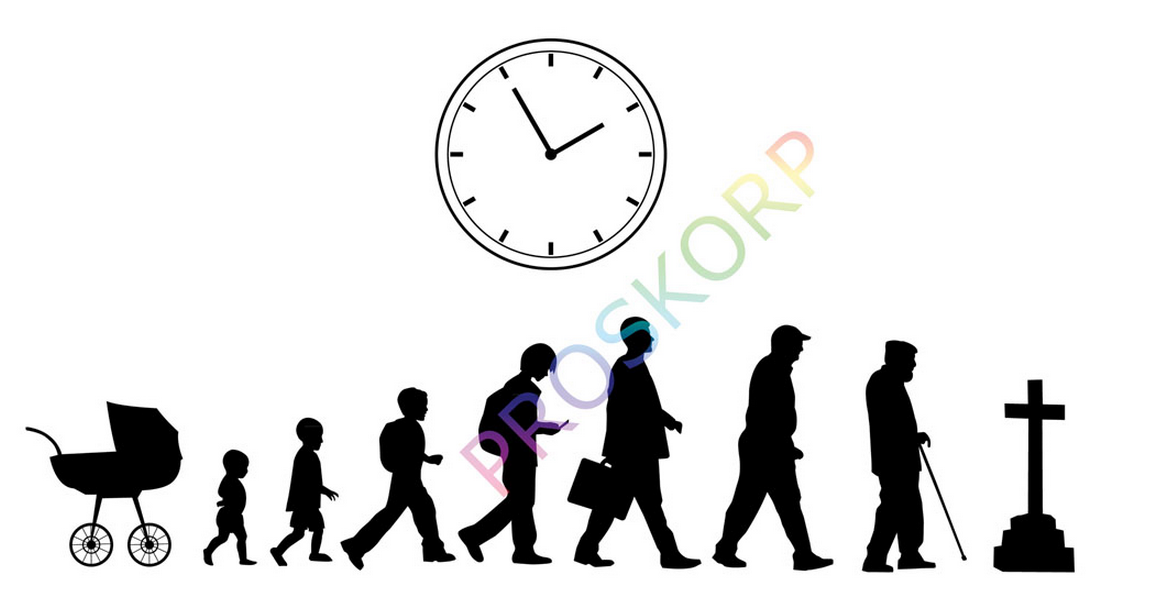 Image result for å¹´é¾