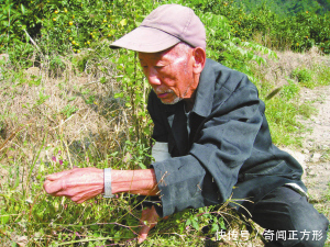 老汉久病不好，上山采药救了一条蛇，接下来发生的事奇怪了