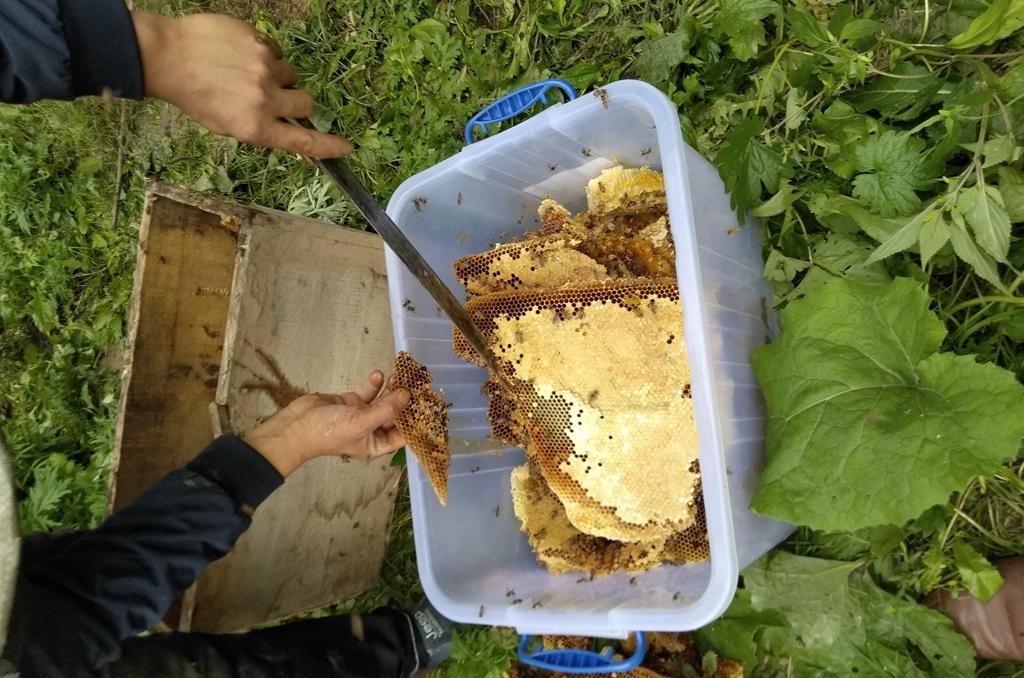 真蜂蜜为什么卖不过假蜂蜜?看完这3大对比, 你