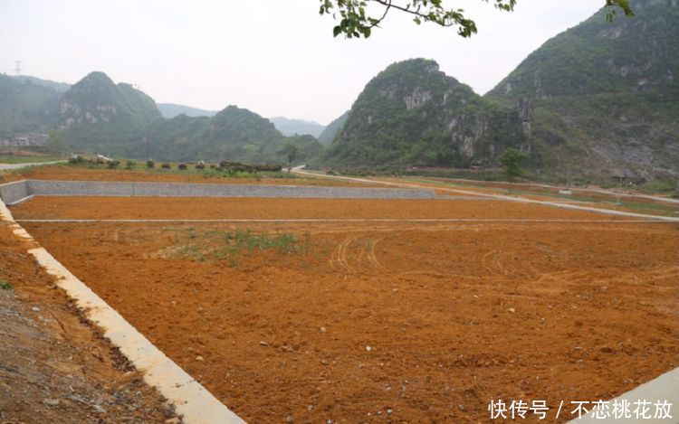 儿子去世,儿媳再嫁把儿子扔给俺,10年后,她后悔