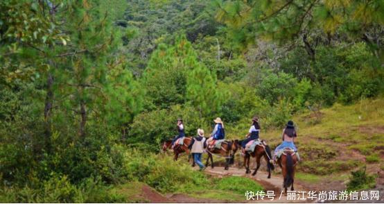 最适合一个人旅行的城市