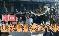 《匹 夫 你 要 干 什 么》
