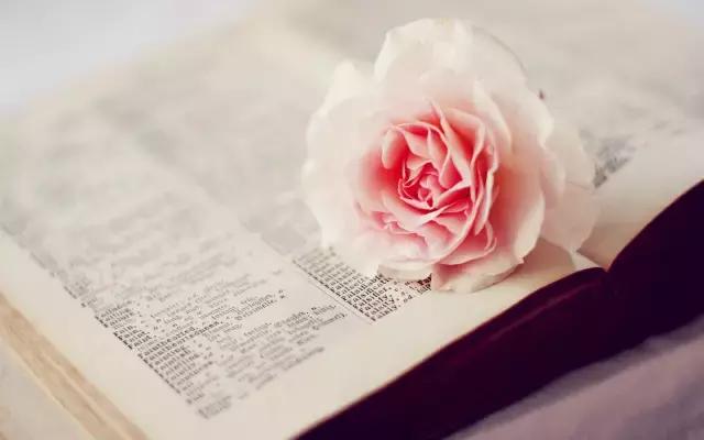 太强大了!领导讲话稿小标题大全