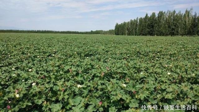 t01cab09de75457a1ae.jpg?size=640x360