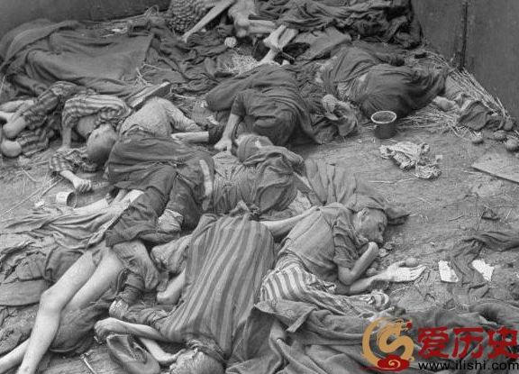 明知打不过美国,日本为什么还要突袭珍珠港?毛主席说了这句话,