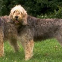 3D动画演示消防喷淋头的工作原理,其实就这么