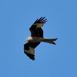 法驱4分钟单刷湮灭圣所