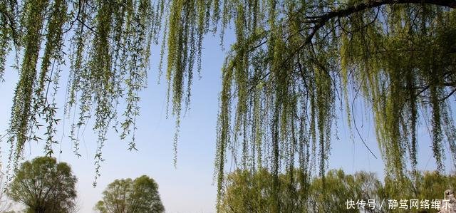 河南到安徽即将开通一条时速350高铁, 直达杭州