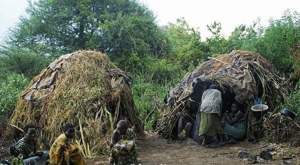 黑人那么强,为何古代没发展出像样的帝国和文