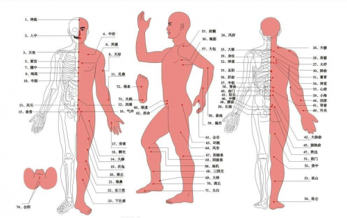 颈椎病高发，不妨试试小灸灸智能电子艾灸仪!