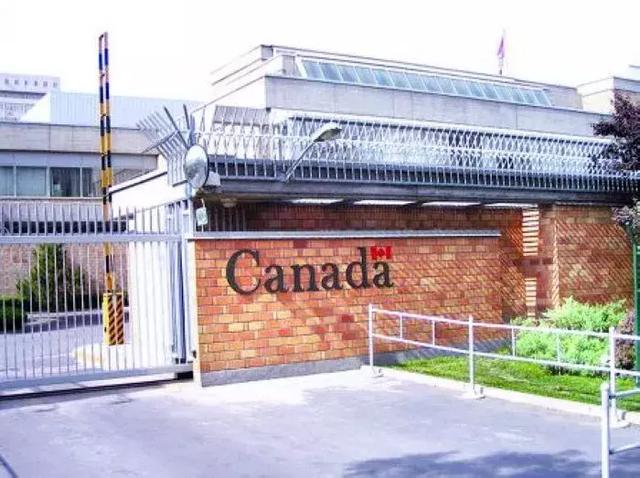 护照到期但签证还没过期,这些签证该咋办?别慌