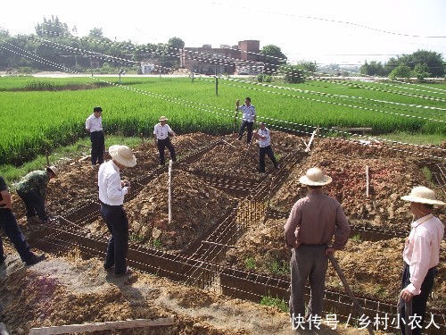 农民注意：有一项补贴快要发放了！但这几种人没有，你有吗？