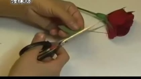 手工制作大全 纸折花-折纸玫瑰花 详细步骤-_折纸视频教程大全