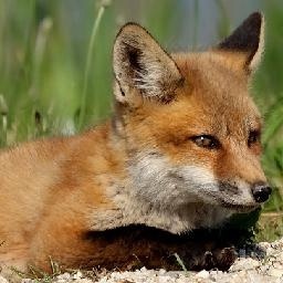 《双色球宝典》第2017075期