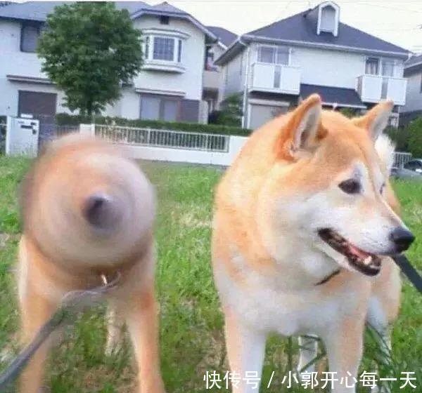搞笑段子 为什么要读书?