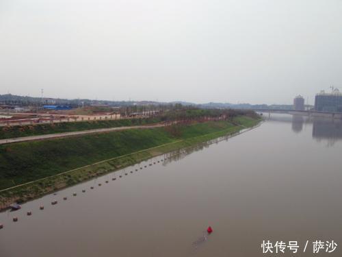 衡阳保卫战第一战泉溪镇战斗:日本鬼子的损失