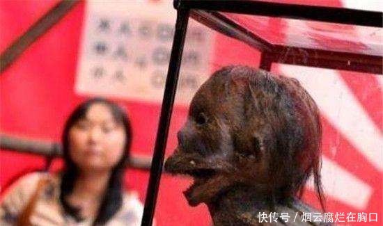 广东水库抓到一只女鬼, 专家解释不是水猴子