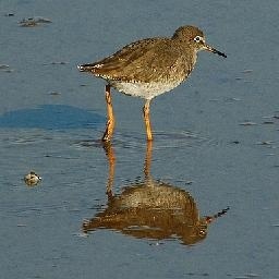 看看人家的足球文化!波兰甲级联赛赛场发生了