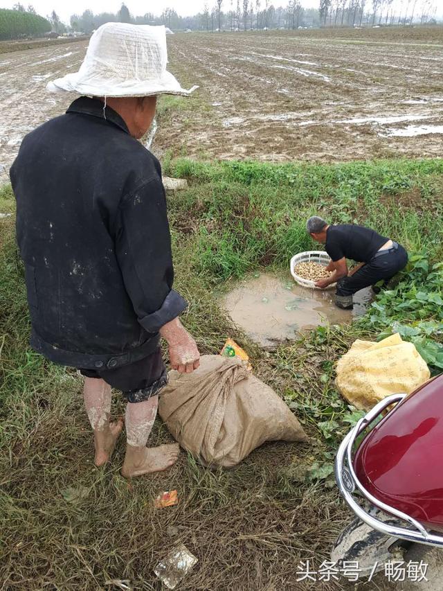 乡村怎么致富?大胆调整种植业结构
