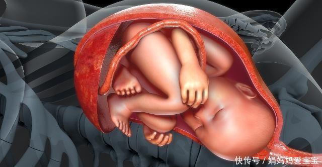 几个月胎动能看见肚子动了 t01cfc3a46bcd9f22d4.jpg