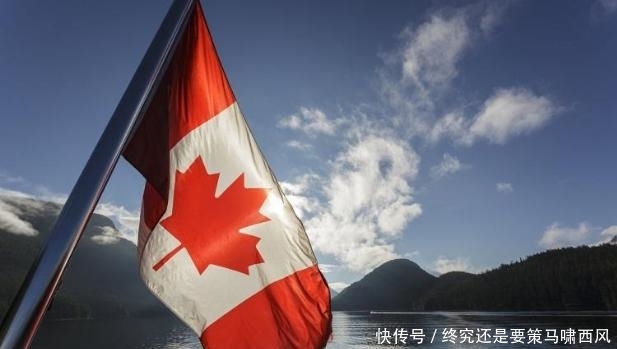 大学没毕业算什么学历