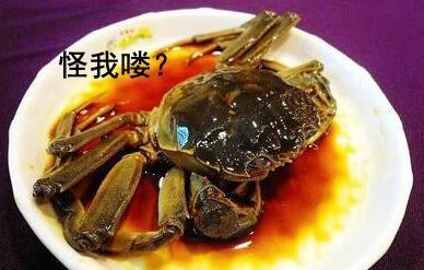 女子吃一盘虾被查出酒驾 驾照暂扣6月罚款300