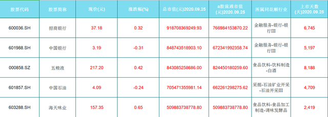 金龍魚苗什么樣（金龍魚苗什么樣的好）