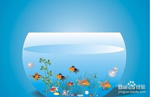 潮州水族批發(fā)市場在哪里啊多少錢（潮州水族批發(fā)市場在哪里啊多少錢一位） 觀賞魚水族批發(fā)市場