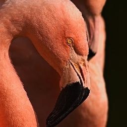 北京利龙跆拳道连锁机构太极一章至八章教学视频