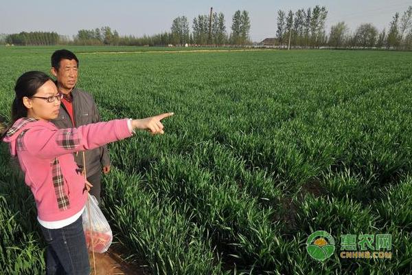 农村包地挣钱吗?土地流转政策是否对农民有益