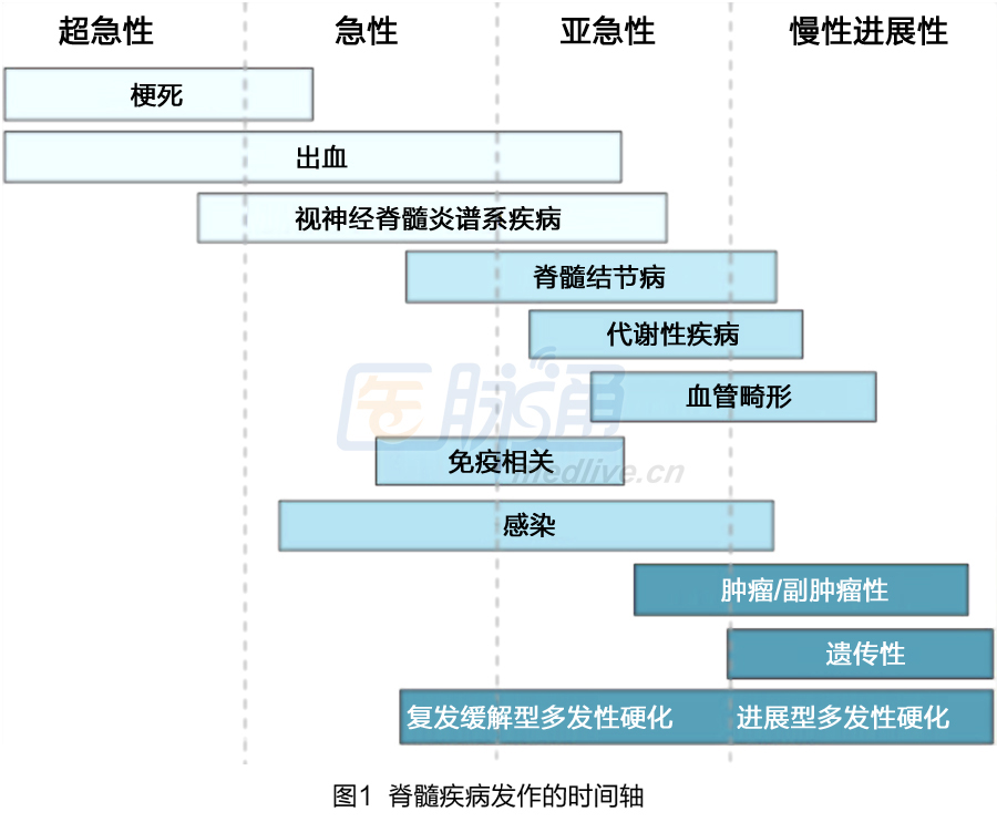 收藏!6张图表轻松掌握脊髓疾病鉴别诊断