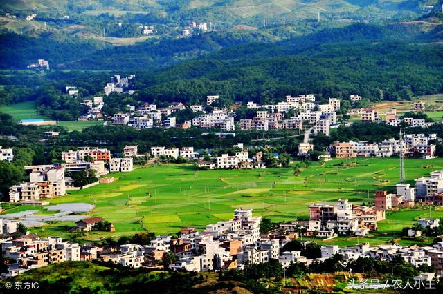 好消息,国家将为农村实行住房统一规划建设,农