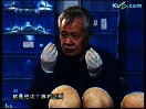 探索·发现 2010年 第267期 海洋古墓 永恒的守望