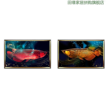 魚(yú)缸換水要換多少：魚(yú)缸換水要換多少合適