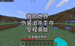 我的世界：在本期视频中,我们将用同样皮肤,猎人看不到对方名字,但十分钟后获得秒人斧
