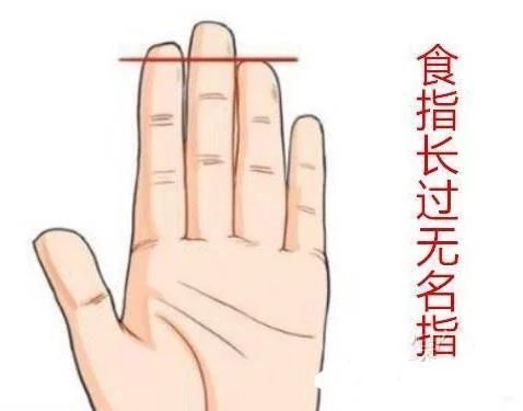 从手指的长度看命运吉凶,食指和无名指哪个长