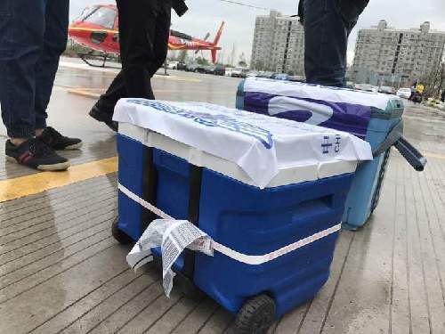 移植中心主任梁廷波团队已经将各个脏器用两个专门的器官转运箱存储