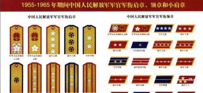 军衔人口_人口普查
