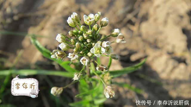 胃能洗,牙能洗,肝脏能洗吗?吃这几种食物,不用