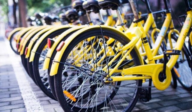 顺丰发力!申请冻结ofo银行的1375万资金,戴威