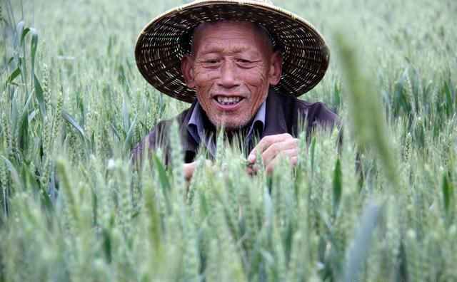 专家建议:取消农村养老保险,更改为城市退休金