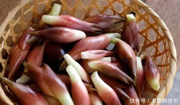 厉害了，河南这5个县市区被教育部点名，未来发展要逆天！