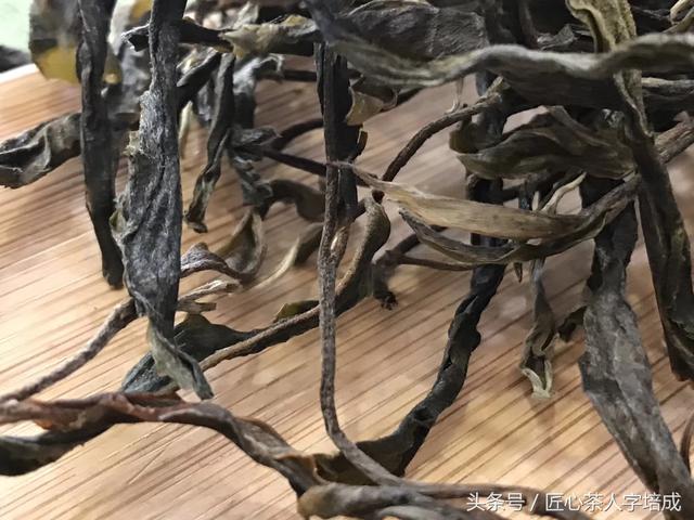 收藏貼:24款名山頭古樹開湯評測