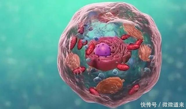 科学界最尖端的125个谜团, 诺贝尔奖在等待它们