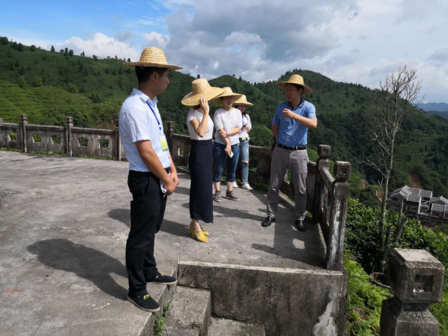 百色市旅游发展委督促指导A级景区做好整改提升工作