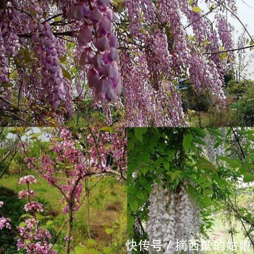 走访了100家生态小农场,成功的只有十分之一,都有这3个特点