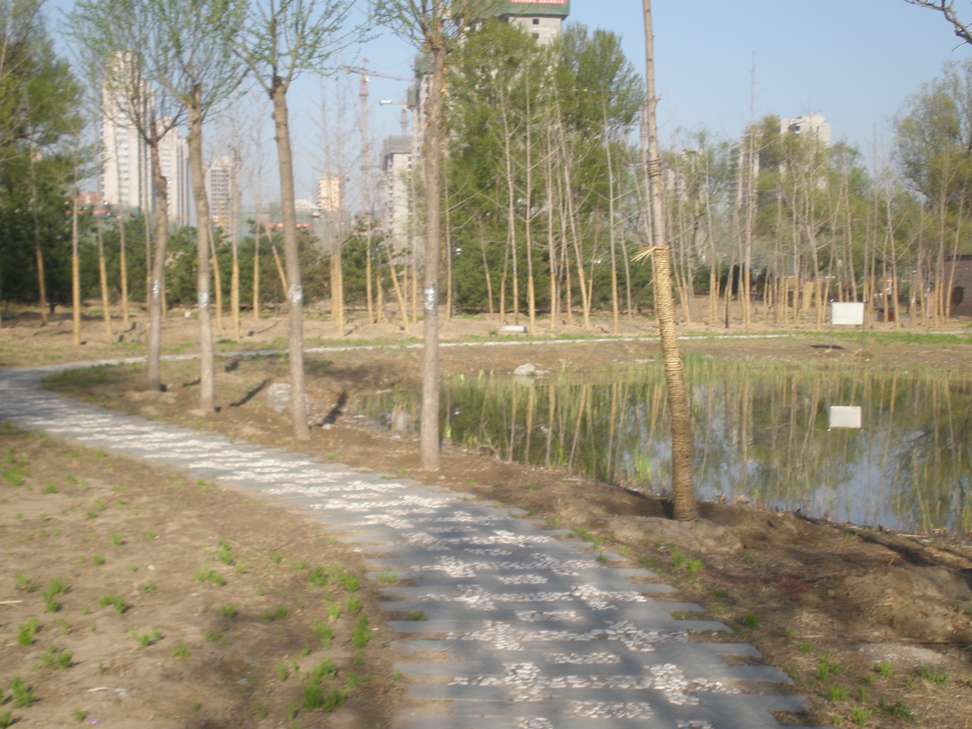 清河营郊野公园